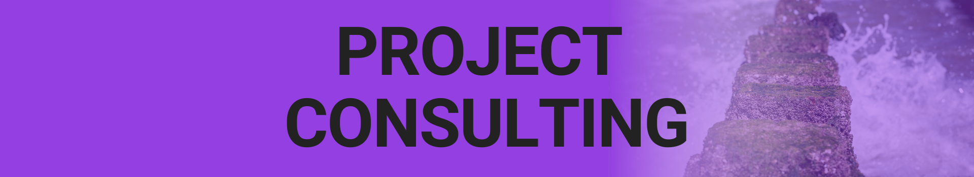 Project Consulting