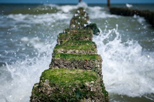 high-angle-closeup-shot-stones-with-moss-top-leading-wavy-sea-1